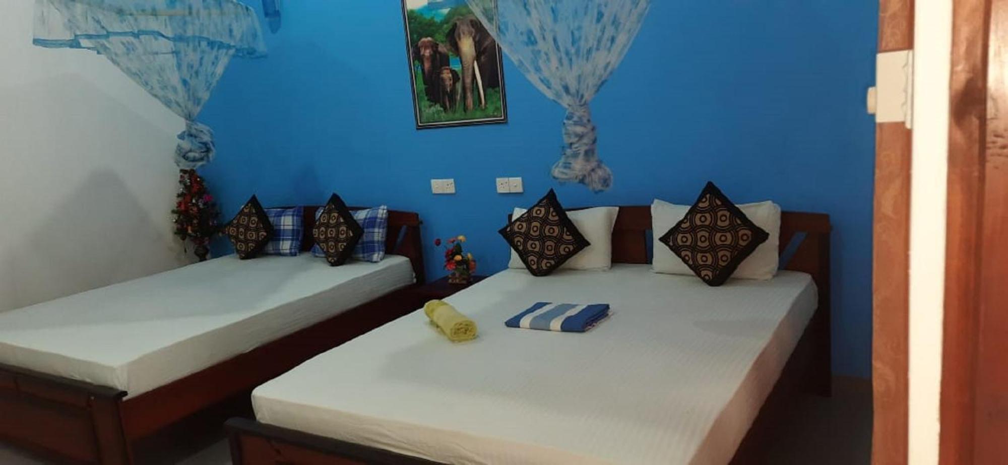 Sigiri Rangana Guesthouse 시기리야 외부 사진
